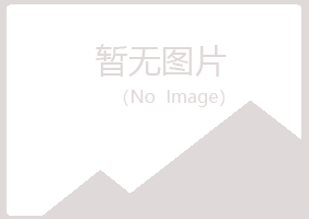 琼山夏岚金融有限公司